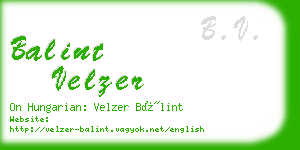 balint velzer business card